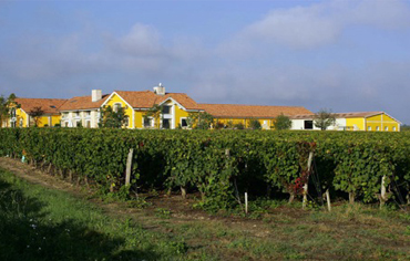 Cession du Groupe viticole Luc Thienpont - AOC Margaux, Haut-Médoc, Bordeaux - Janvier 2014